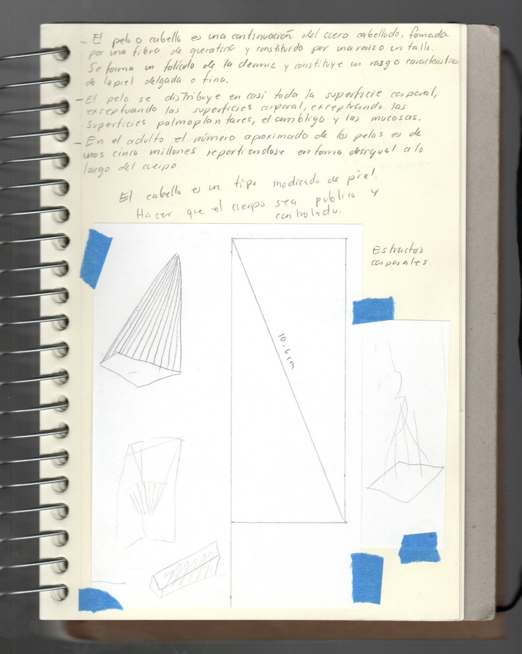 Jessica Sanchez (Jalisco,&nbsp;1986)