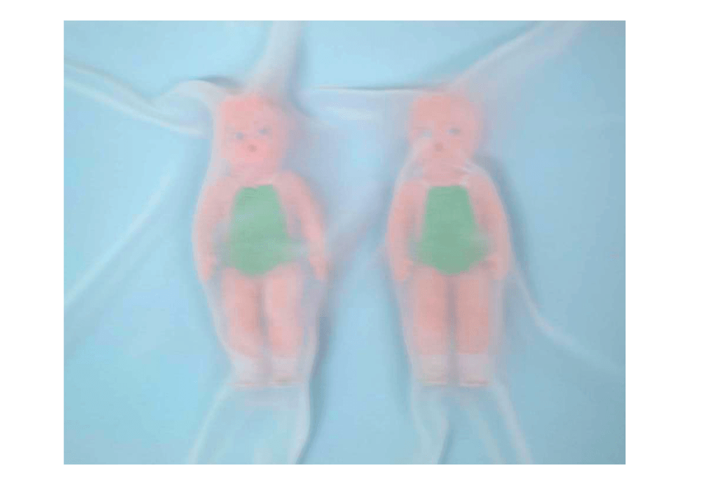 Dulce Eme (Ciudad de México,&nbsp;1992)